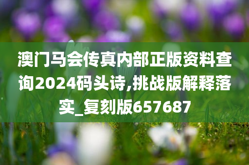 澳门马会传真内部正版资料查询2024码头诗,挑战版解释落实_复刻版657687