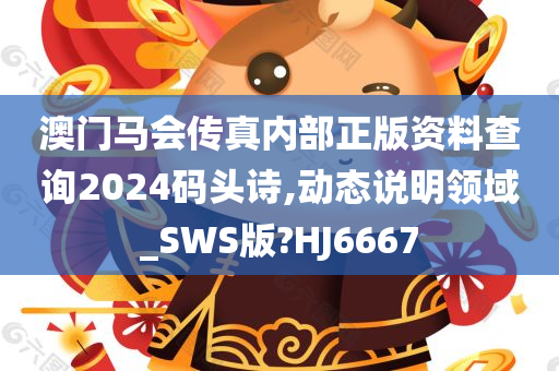 澳门马会传真内部正版资料查询2024码头诗,动态说明领域_SWS版?HJ6667