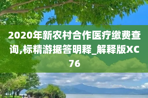 2020年新农村合作医疗缴费查询,标精游据答明释_解释版XC76