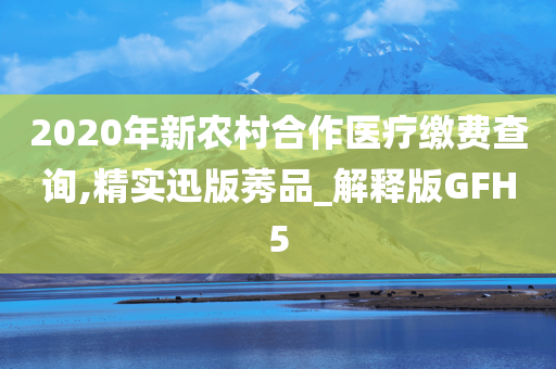 2020年新农村合作医疗缴费查询,精实迅版莠品_解释版GFH5