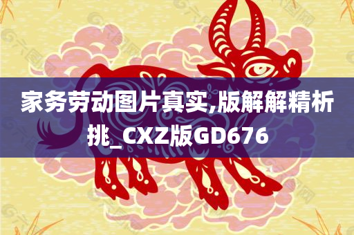 家务劳动图片真实,版解解精析挑_CXZ版GD676