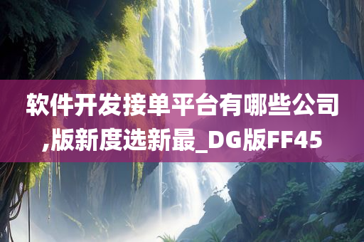 软件开发接单平台有哪些公司,版新度选新最_DG版FF45