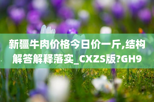 新疆牛肉价格今日价一斤,结构解答解释落实_CXZS版?GH9