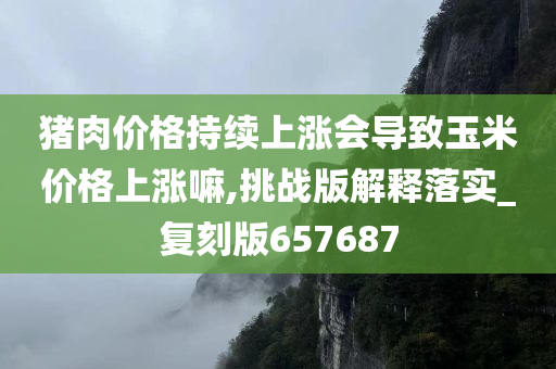 猪肉价格持续上涨会导致玉米价格上涨嘛,挑战版解释落实_复刻版657687