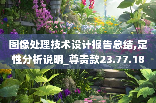 图像处理技术设计报告总结,定性分析说明_尊贵款23.77.18