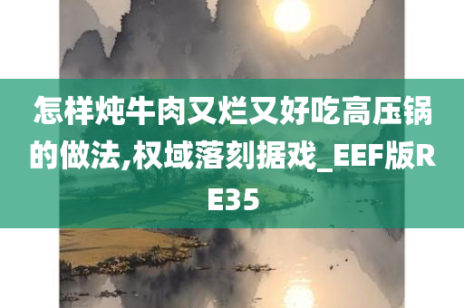 怎样炖牛肉又烂又好吃高压锅的做法,权域落刻据戏_EEF版RE35