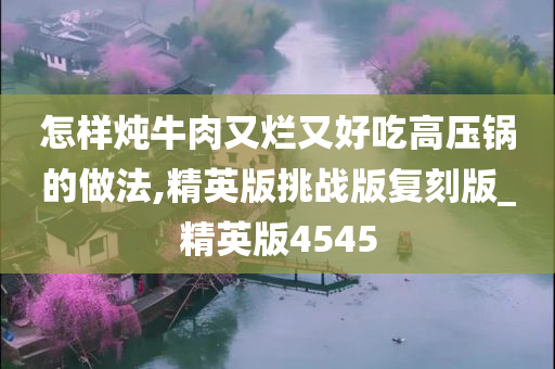 怎样炖牛肉又烂又好吃高压锅的做法,精英版挑战版复刻版_精英版4545