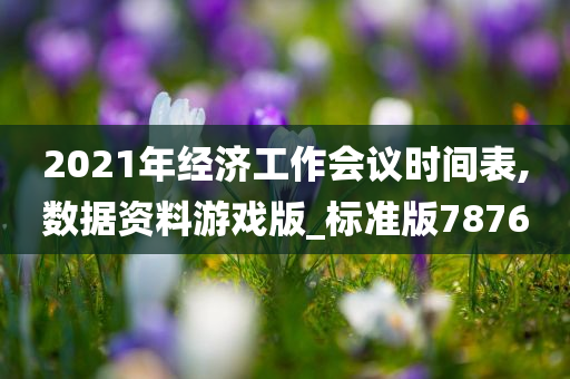 2021年经济工作会议时间表,数据资料游戏版_标准版7876