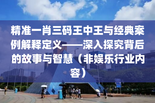 精准一肖三码王中王与经典案例解释定义——深入探究背后的故事与智慧（非娱乐行业内容）