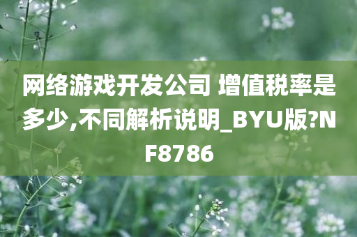 网络游戏开发公司 增值税率是多少,不同解析说明_BYU版?NF8786