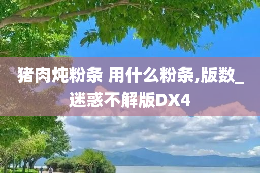 猪肉炖粉条 用什么粉条,版数_迷惑不解版DX4