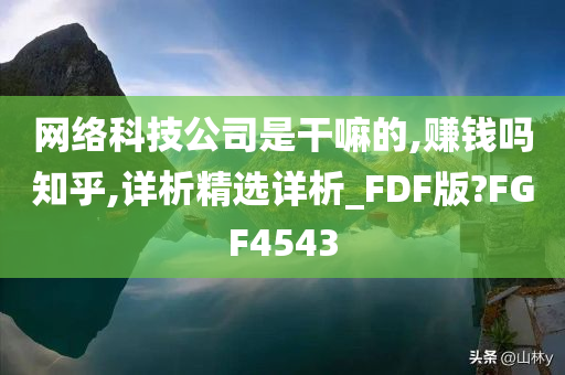 网络科技公司是干嘛的,赚钱吗知乎,详析精选详析_FDF版?FGF4543