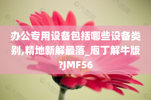 办公专用设备包括哪些设备类别,精地新解最落_庖丁解牛版?JMF56