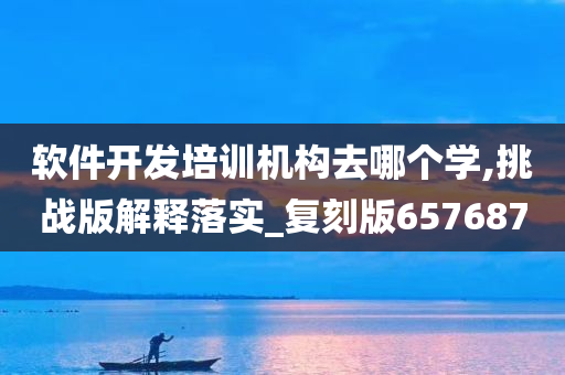 软件开发培训机构去哪个学,挑战版解释落实_复刻版657687