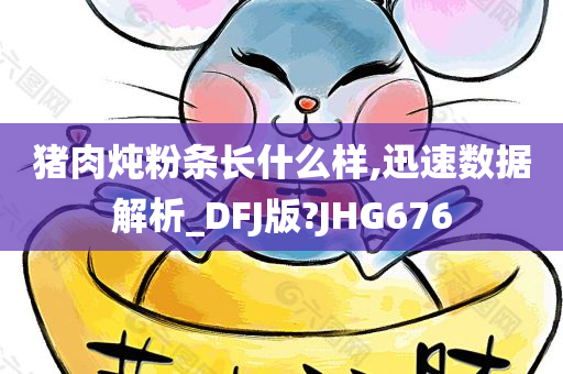 猪肉炖粉条长什么样,迅速数据解析_DFJ版?JHG676