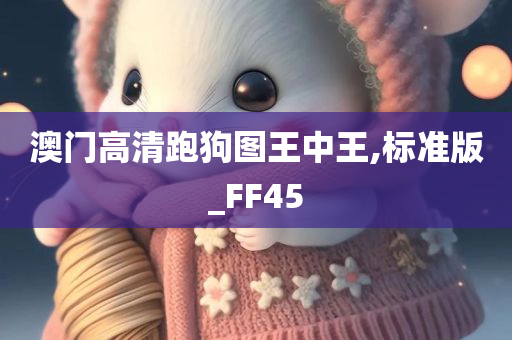 澳门高清跑狗图王中王,标准版_FF45