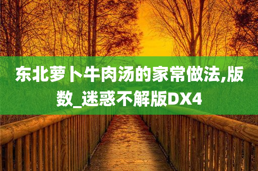 东北萝卜牛肉汤的家常做法,版数_迷惑不解版DX4