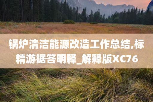 锅炉清洁能源改造工作总结,标精游据答明释_解释版XC76