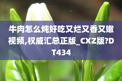 牛肉怎么炖好吃又烂又香又嫩视频,权威汇总正版_CXZ版?DT434