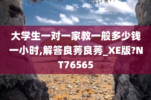 大学生一对一家教一般多少钱一小时,解答良莠良莠_XE版?NT76565