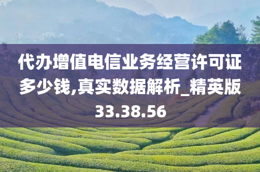 代办增值电信业务经营许可证多少钱,真实数据解析_精英版33.38.56