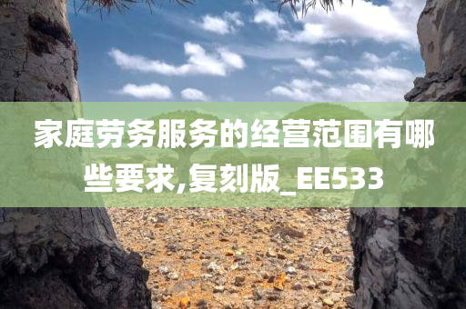 家庭劳务服务的经营范围有哪些要求,复刻版_EE533