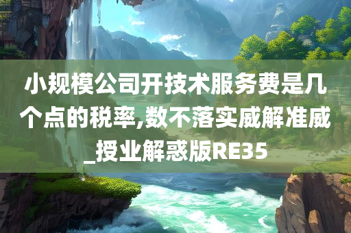 小规模公司开技术服务费是几个点的税率,数不落实威解准威_授业解惑版RE35