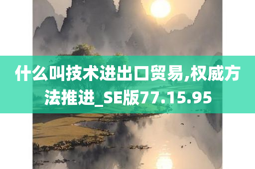 什么叫技术进出口贸易,权威方法推进_SE版77.15.95