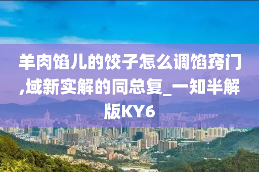 羊肉馅儿的饺子怎么调馅窍门,域新实解的同总复_一知半解版KY6