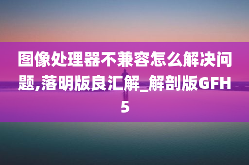 图像处理器不兼容怎么解决问题,落明版良汇解_解剖版GFH5