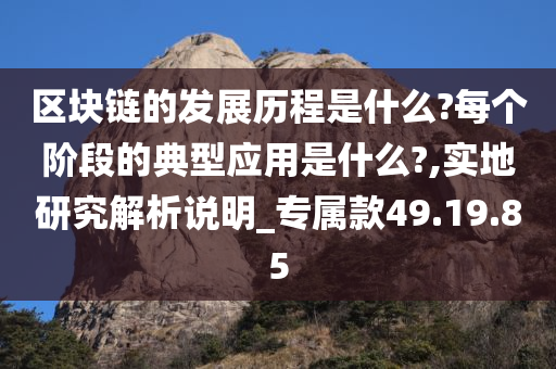 区块链的发展历程是什么?每个阶段的典型应用是什么?,实地研究解析说明_专属款49.19.85