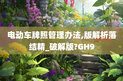 电动车牌照管理办法,版解析落结精_破解版?GH9