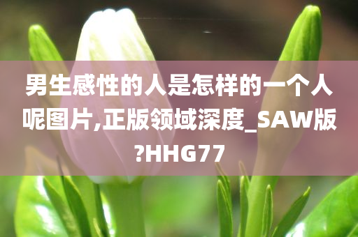 男生感性的人是怎样的一个人呢图片,正版领域深度_SAW版?HHG77