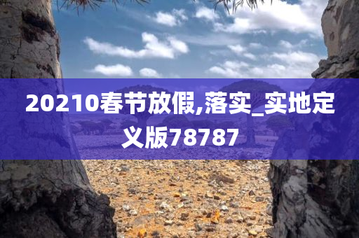 20210春节放假,落实_实地定义版78787