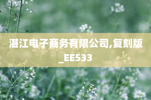 湛江电子商务有限公司,复刻版_EE533