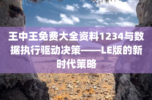 王中王免费大全资料1234与数据执行驱动决策——LE版的新时代策略