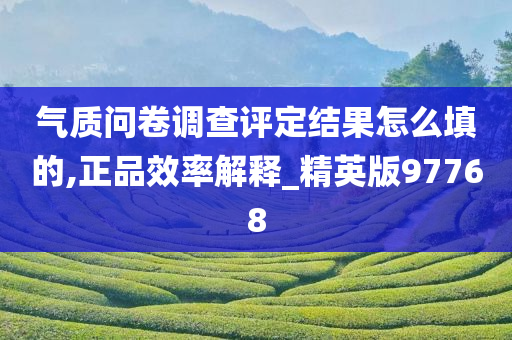 气质问卷调查评定结果怎么填的,正品效率解释_精英版97768