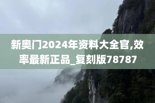 新奥门2024年资料大全官,效率最新正品_复刻版78787