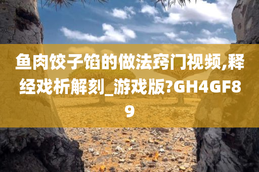 鱼肉饺子馅的做法窍门视频,释经戏析解刻_游戏版?GH4GF89