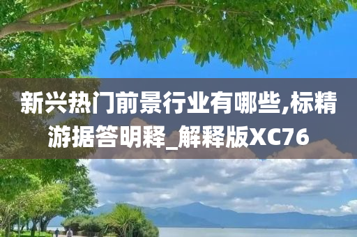 新兴热门前景行业有哪些,标精游据答明释_解释版XC76