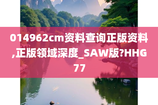 014962cm资料查询正版资料,正版领域深度_SAW版?HHG77