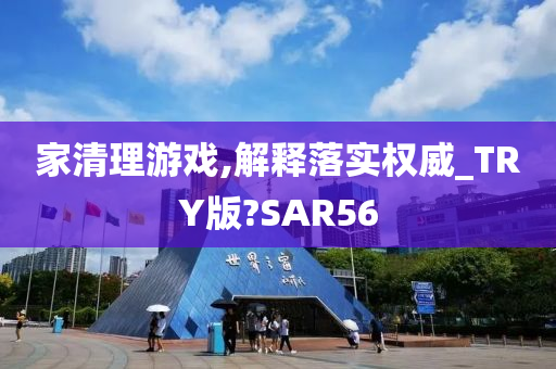 家清理游戏,解释落实权威_TRY版?SAR56