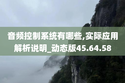 音频控制系统有哪些,实际应用解析说明_动态版45.64.58