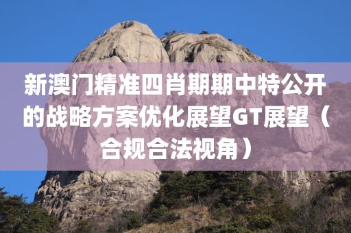 新澳门精准四肖期期中特公开的战略方案优化展望GT展望（合规合法视角）