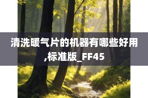 清洗暖气片的机器有哪些好用,标准版_FF45