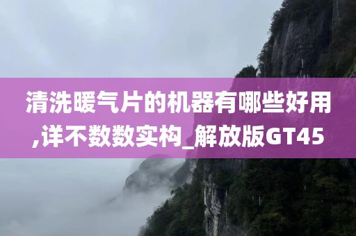 清洗暖气片的机器有哪些好用,详不数数实构_解放版GT45