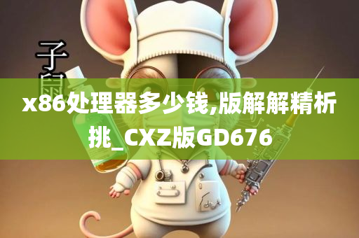 x86处理器多少钱,版解解精析挑_CXZ版GD676