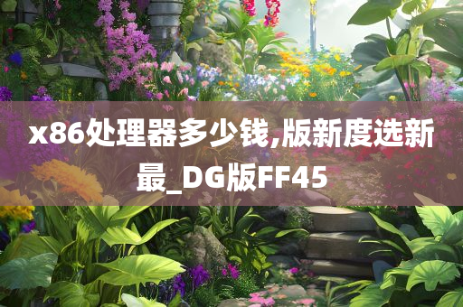 x86处理器多少钱,版新度选新最_DG版FF45