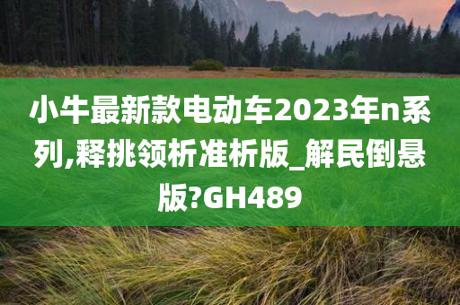 小牛最新款电动车2023年n系列,释挑领析准析版_解民倒悬版?GH489