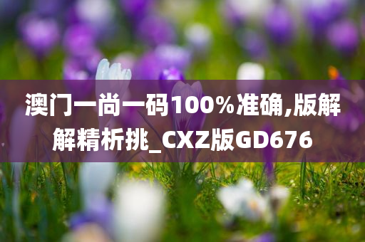 澳门一尚一码100%准确,版解解精析挑_CXZ版GD676